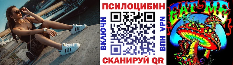 купить наркоту  Карабулак  Псилоцибиновые грибы Psilocybe 